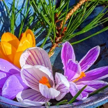 sunny spring flowers, pine sprigs, handmade clay bowl